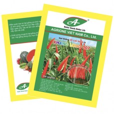 Ớt chỉ thiên F1 KHANG LONG 007